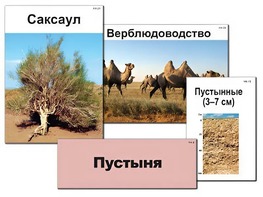 Модель-аппликация "Природные зоны России" (ламинированная) - fgospostavki.ru - Тула