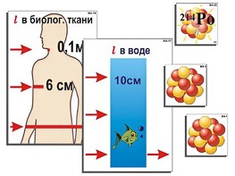 Модель-аппликация "Явление радиоактивности" (ламинированная) - fgospostavki.ru - Тула