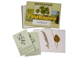 Гербарий "Лекарственные растения" (22 вида с иллюстрациями) - fgospostavki.ru - Тула