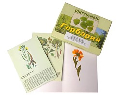 Гербарий "Систематика растений. Семейство Пасленовые. Крестоцветные. Сложноцветные" (раздаточный) - fgospostavki.ru - Тула