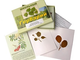 Гербарий "Систематика растений. Семейство Розоцветные" (раздаточный) - fgospostavki.ru - Тула