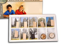 Коллекция "Древесные растения и их распространение" (раздаточная) - fgospostavki.ru - Тула