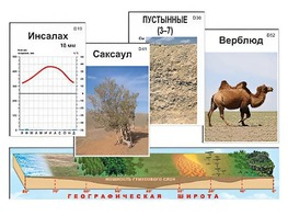 Модель-аппликация "Природные зоны" - fgospostavki.ru - Тула