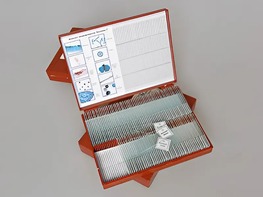 Комплект микропрепаратов "Ботаника 2" - fgospostavki.ru - Тула