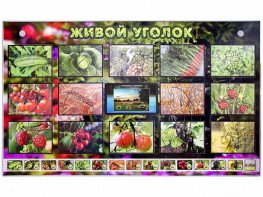 Комплект оборудования "Живой уголок" (растения) с тифлопереводом и сурдокомментариями - fgospostavki.ru - Тула