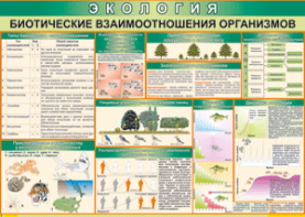 Таблица "Биотические взаимоотношения организмов" (100х140 сантиметров, винил) - fgospostavki.ru - Тула