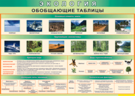 Таблица "Экология. Обобщающие таблицы" (100х140 сантиметров, винил) - fgospostavki.ru - Тула