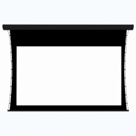 Экран настенный с электроприводом DSTPX-16915 - fgospostavki.ru - Тула