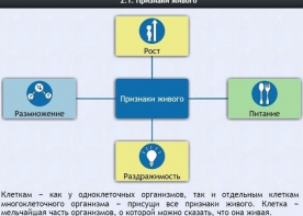 Интерактивные курсы. Биология 5 класс. Базовый - fgospostavki.ru - Тула