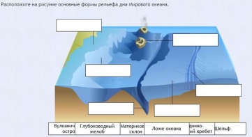 Интерактивные курсы. География 7 класс . Базовый. - fgospostavki.ru - Тула