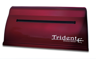 Принтер для печати рельефно-точечным шрифтом Брайля Trident - fgospostavki.ru - Тула