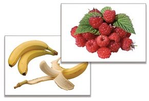 Дидактическое пособие "Фрукты, ягоды, орехи" (24 карточки) - fgospostavki.ru - Тула