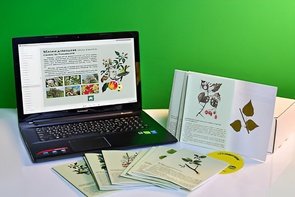 Гербарий натурально-интерактивный "Деревья и кустарники" - fgospostavki.ru - Тула