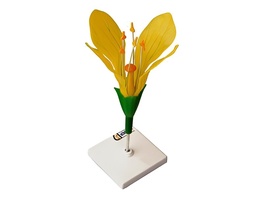 Модель цветка капусты - fgospostavki.ru - Тула