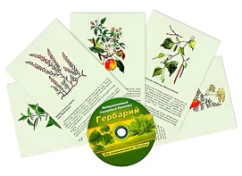 Интерактивный наглядный комплекс "Гербарий "Для начальной школы" - fgospostavki.ru - Тула
