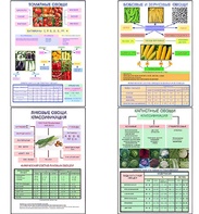 Плакаты ПРОФТЕХ "Классификация овощей" (11 пл, винил, 70х100) - fgospostavki.ru - Тула