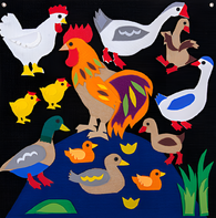 Пособие для слабовидящих детей «Домашние птицы» - fgospostavki.ru - Тула