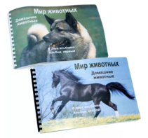 Пособие для слабовидящих - Домашние животные - fgospostavki.ru - Тула