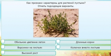 Интерактивные курсы. Окружающий мир 3 класс . Базовый. - fgospostavki.ru - Тула