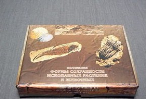 Коллекция "Формы сохранности ископаемых растений и животных" - fgospostavki.ru - Тула