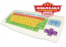 Клавиатура адаптированная с крупными кнопками + пластиковая накладка, разделяющая клавиши - fgospostavki.ru - Тула