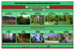Стенд-планшет электрифицированный «Оценка пожарной опасности в лесах»  - fgospostavki.ru - Тула