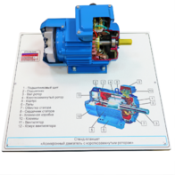 Стенд-планшет «Асинхронный двигатель с короткозамкнутым ротором» - fgospostavki.ru - Тула