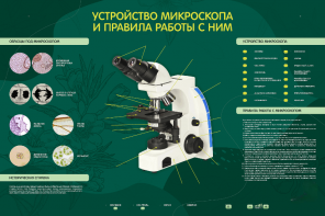 Электрифицированный стенд "Устройство микроскопа и правила работы c ним" - fgospostavki.ru - Тула