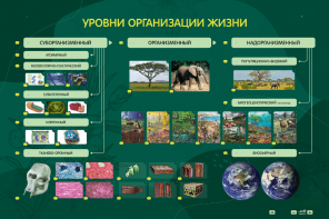 Электрифицированный стенд "Уровни организации жизни" - fgospostavki.ru - Тула
