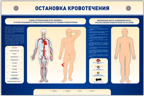 Электрифицированный стенд-тренажер "Остановка кровотечения" - fgospostavki.ru - Тула