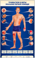 Электрифицированный стенд-тренажер "Травматизм и меры оказания первой помощи" - fgospostavki.ru - Тула