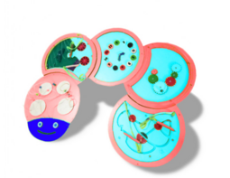 Тактильно-развивающая панель «Гусеница» - fgospostavki.ru - Тула