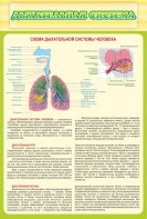 Стенд "Дыхательная система" - fgospostavki.ru - Тула