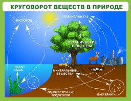 Стенд "Круговорот веществ" - fgospostavki.ru - Тула