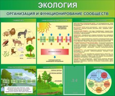 Стенд "Экология. Организация и функционирование сообществ" - fgospostavki.ru - Тула
