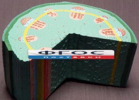 Модель "Стебель растения" - fgospostavki.ru - Тула