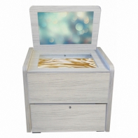 Сундучок психолога-дефектолога "Антошка" - fgospostavki.ru - Тула