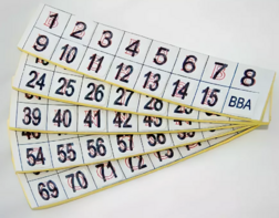 Фишки для игры «Бинго» со шрифтом Брайля - fgospostavki.ru - Тула