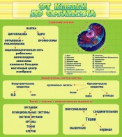 Стенд "От клетки до организма" - fgospostavki.ru - Тула