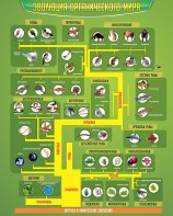 Стенд "Многообразие органического мира" - fgospostavki.ru - Тула