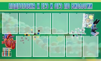 Стенд "Подготовка к ЕГЭ и ОГЭ по биологии" Вариант 2 - fgospostavki.ru - Тула