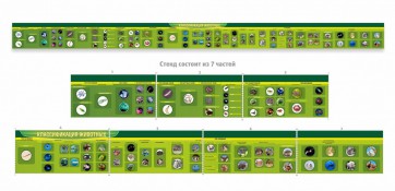 Стенд "Классификация групп животных" - fgospostavki.ru - Тула