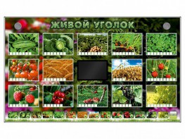 Комплект оборудования "Живой уголок" (растения) - fgospostavki.ru - Тула