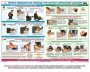 Комплект плакатов "Оказание первой доврачебной медицинской помощи" - fgospostavki.ru - Тула