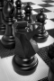 Напольные фигуры шахматные гигантские 61 - fgospostavki.ru - Тула