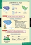 Комплект таблиц. Русский язык. Обучение грамоте 2 класс. - fgospostavki.ru - Тула