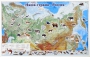 Магнитные карточки "Животные" - fgospostavki.ru - Тула