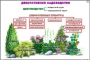 Комплект кодотранспарантов "Культурные растения" - fgospostavki.ru - Тула