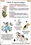 Комплект кодотранспарантов "Ядовитые растения" - fgospostavki.ru - Тула